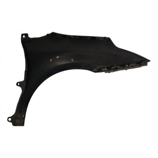 Paralama Esquerdo Citröen C4 Pallas 09/12 9685258577
