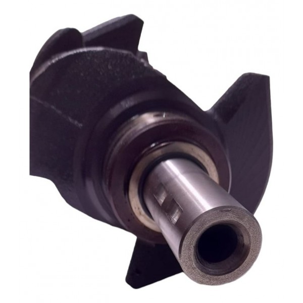 Virabrequim Primeira Medida Citröen C4 Pallas 2.0 09/12