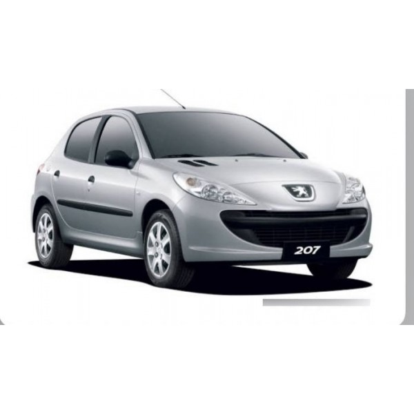 Coletor De Admissão Peugeot 207 1.4 9651500080 Peça Original