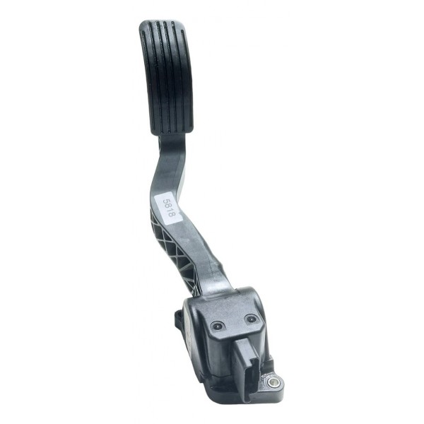 Pedal Acelerador Eletrônico Citroën C4 Pallas 09/12 2.0