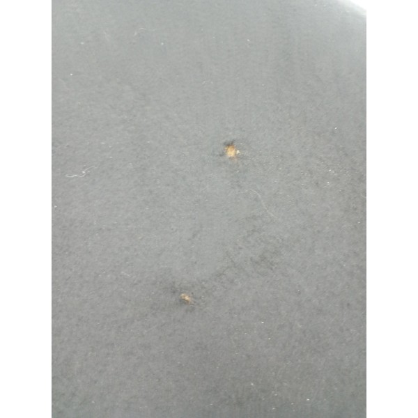 Forro Capô Manta Acústica Original Volkswagen Jetta 09/2019