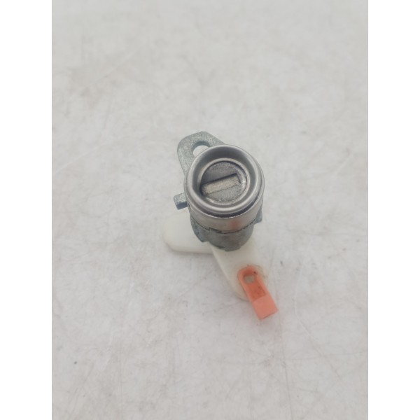 Cilindro De Porta Com Tambor Hb20