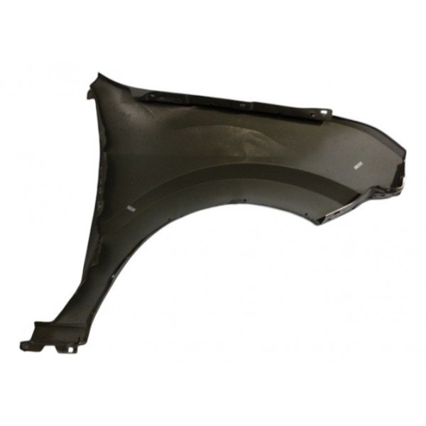 Paralama Esquerdo Ford Ecosport 05/07