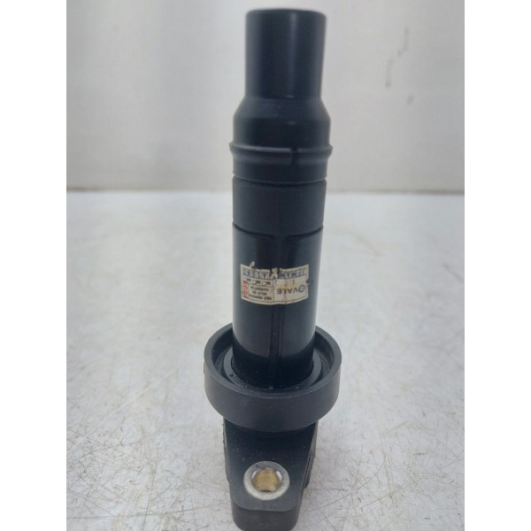 Bobina Ignição 1.6 16v Hb20 273012b010 2019 A 2020 Original