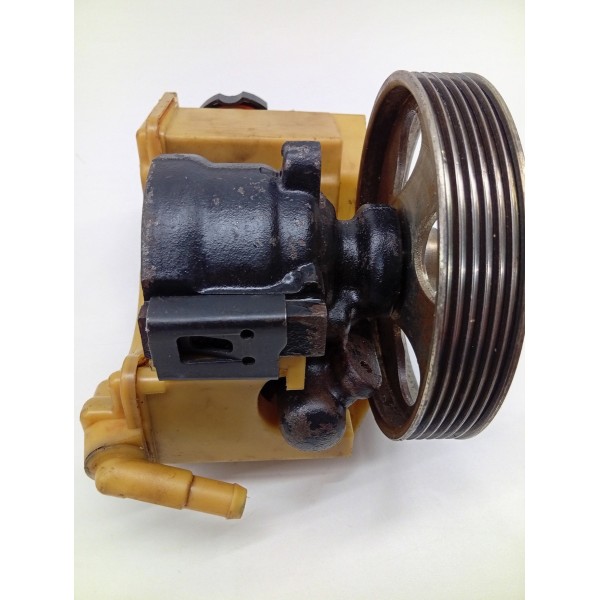 Polia Bomba Direção Hidráulica Peugeot 207 1.4 2006 A 2008