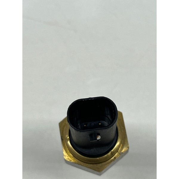 Sensor Temperatura D'agua Rampage 2023 A 2025