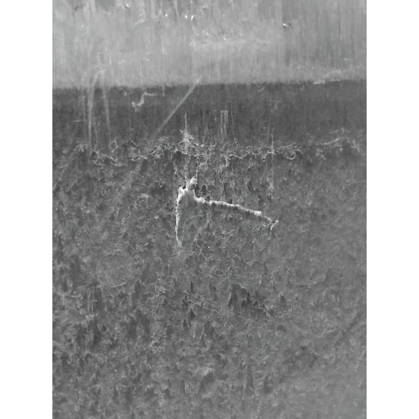 Isolante Acústico Diant Audi A5 2.0 2023 A 2025