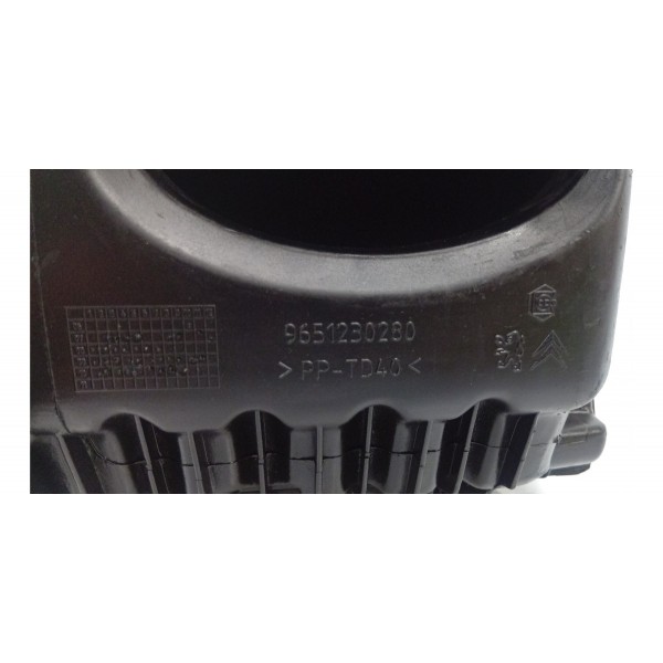 Caixa Filtro Ar Citroën C4 2.0 Peugeot 307 2008 A 2012