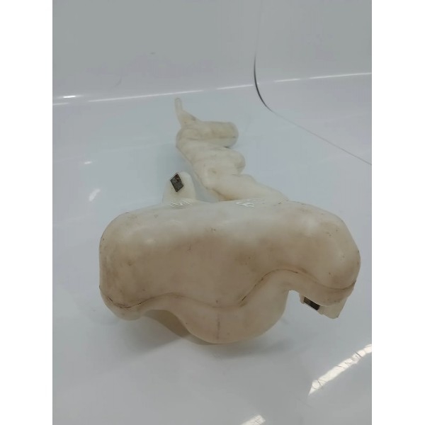 Reservatório Limpador Parabrisa Volkswagen Gol 2009 A 2011