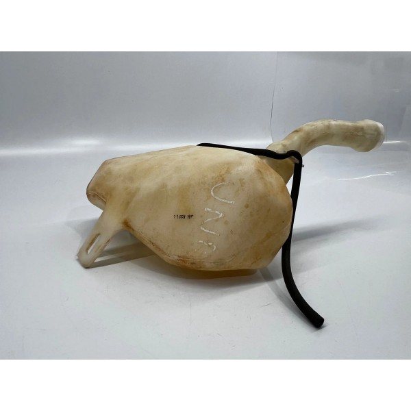 Reservatório Água Limpador Parabrisa Fiat Uno 1.0 2015 2019