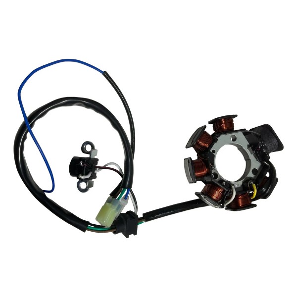 Estator Para Moto Yamaha Ybr 125 2000 A 2001